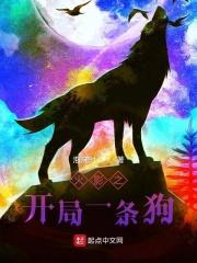 火影之开局一条狗 泡沫时间