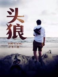 头狼在线阅读