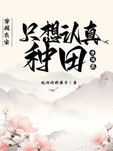 穿越农家种田类
